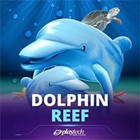 Dolphin Reef Playtech game artwork
